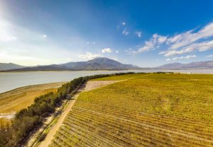 Weingut in Südafrika mit Berg, See und Weinreben